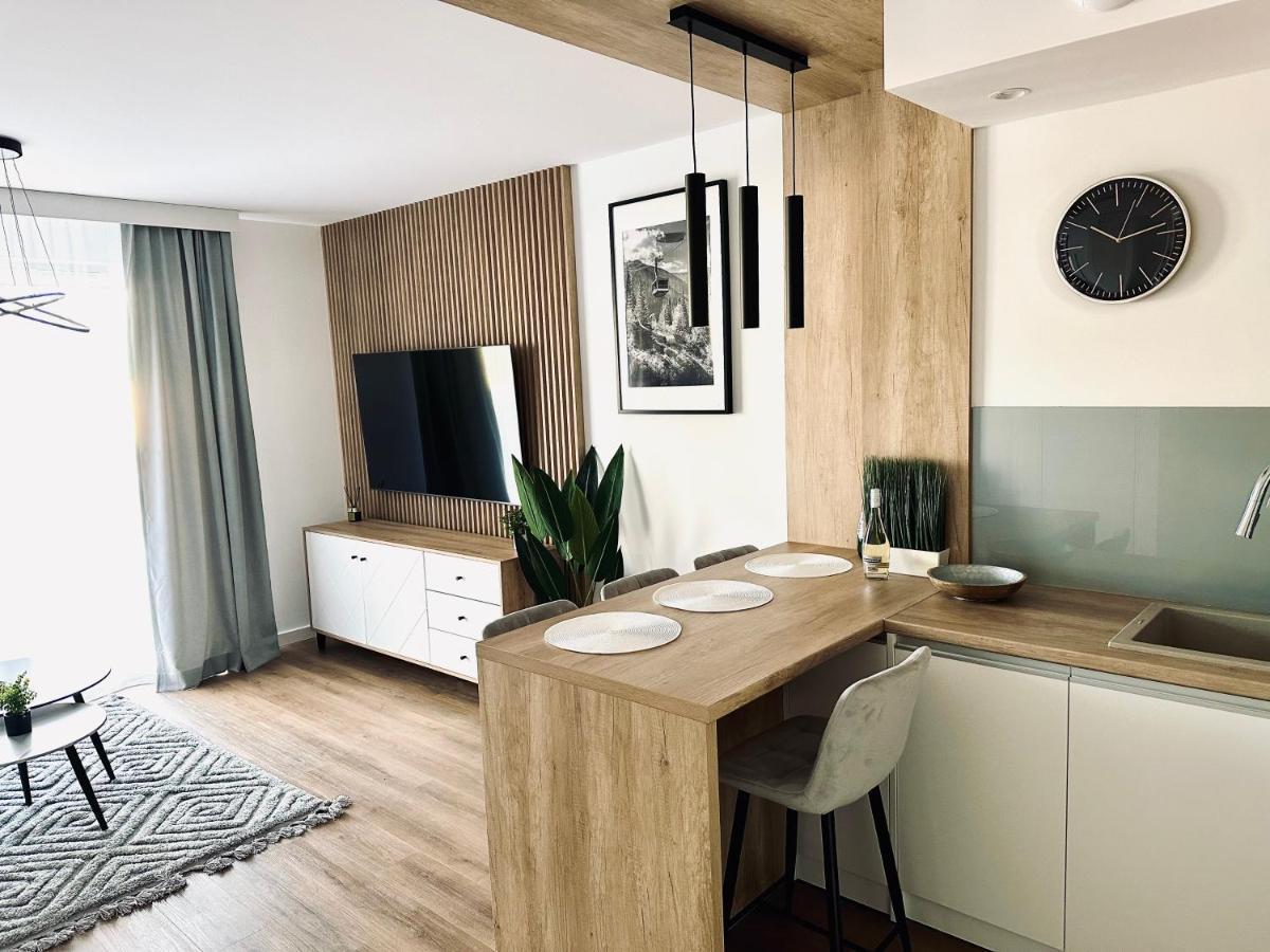 Mountain Shine - Apartment, Spa And Parking ザコパネ エクステリア 写真